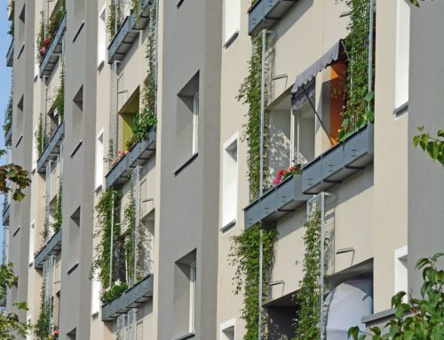Eine Fassade wird grün | Wohnanlage St. Johannis Nordwestring